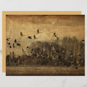 Geese Vintage Antique Sepia Wildlife Texture