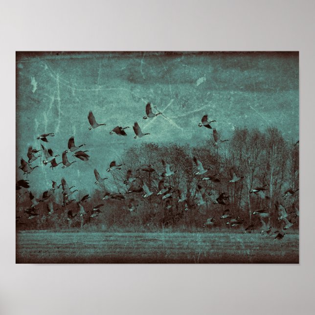 Geese Vintage Antique Teal Green Texture Decoupage Poster (Front)