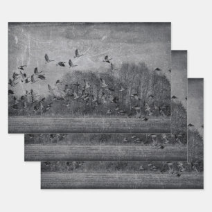 Geese Vintage Black And White Texture Decoupage Wrapping Paper Sheet