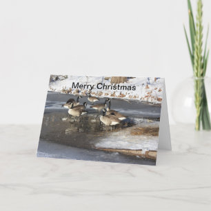 Geese Waiting Holiday Card