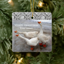 Geese white  