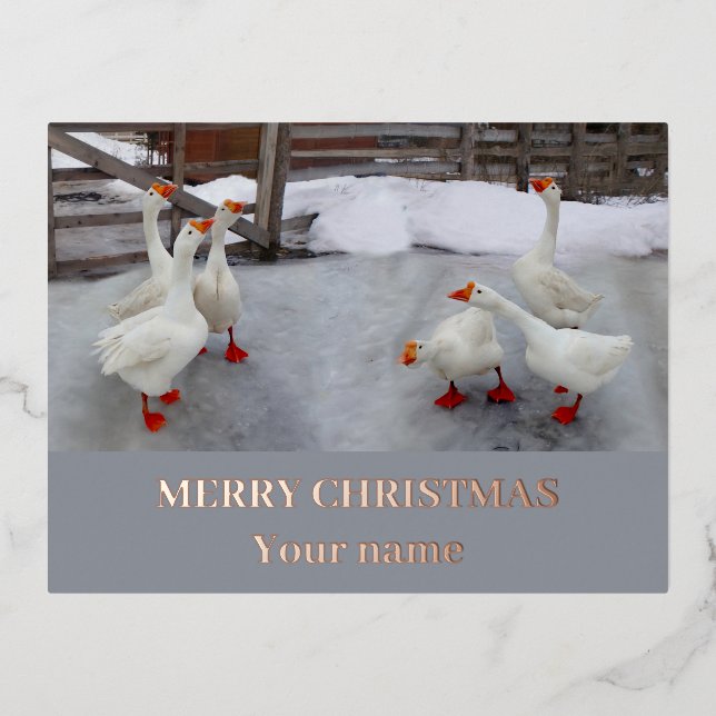 Geese white   foil holiday postcard (Front)