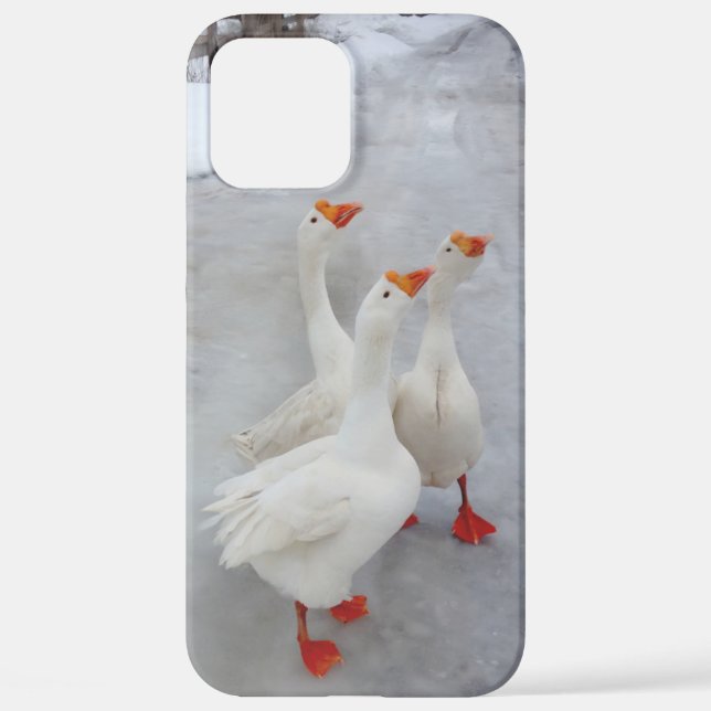 Geese white iPhone case (Back)