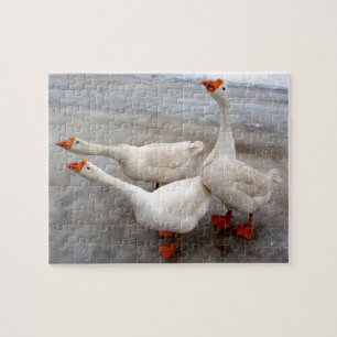 Geese white jigsaw puzzle