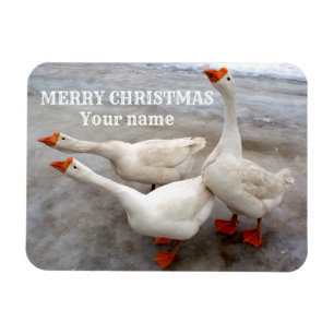 Geese white magnet