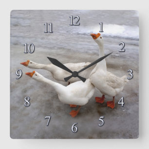 Geese white square wall clock