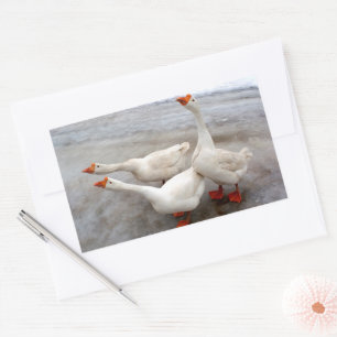 Geese white sticker