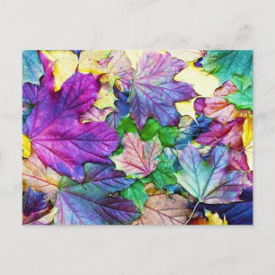 gekleurde blaadjes postcard