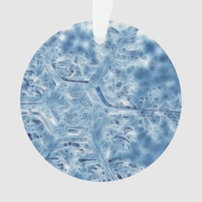 Gelée Cristal de glace Flocon de neige fractal (devant)