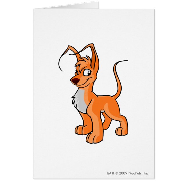 Gelert Orange (Front)