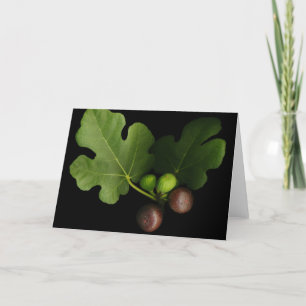 Gelini's Fig Greeting Card