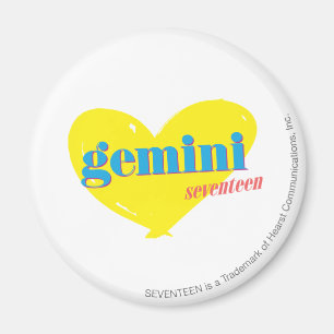 Gemini 3 magnet