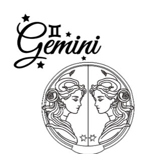 "Gemini" coloured T-Shirt