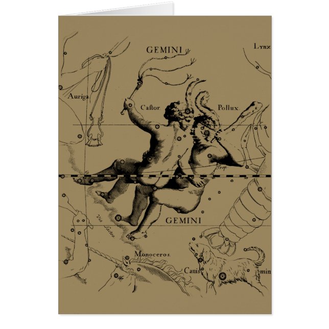 Gemini Constellation Map Hevelius circa 1690 (Front)