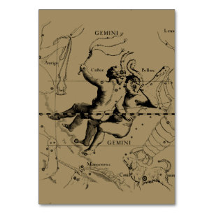 Gemini Constellation Map Hevelius circa 1690 Table Number