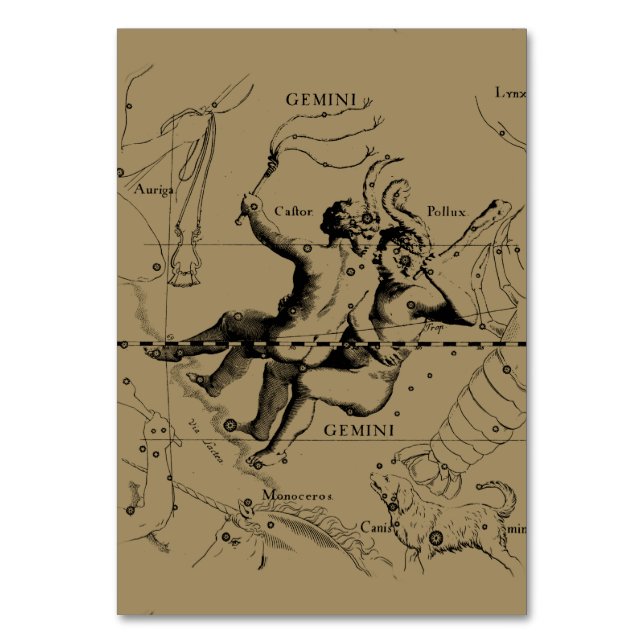 Gemini Constellation Map Hevelius circa 1690 Table Number (Front)