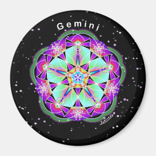 Gemini Magnet