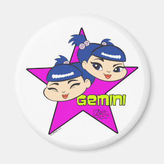 Gemini Magnet