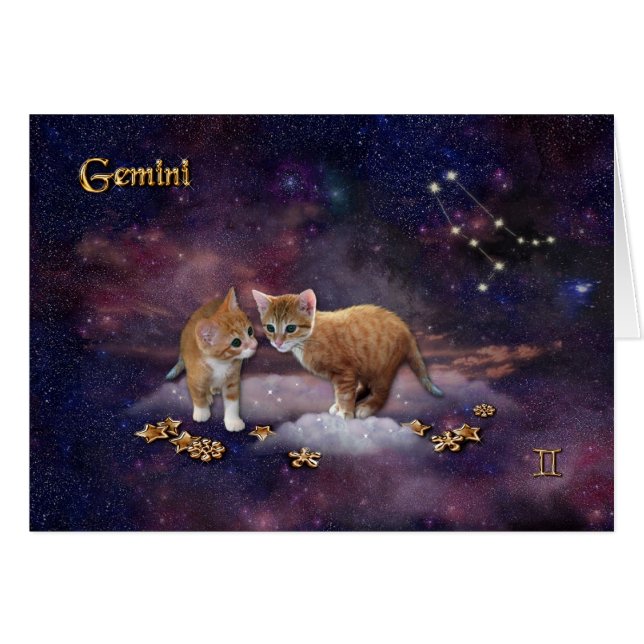 Gemini pour Amoureux de les chats (Devant horizontal)