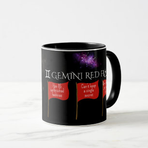 Gemini Red Flags Astrology Mug   Funny Zodiac Gift