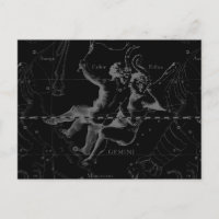 Gemini Zodiac Constellation Hevelius 1690