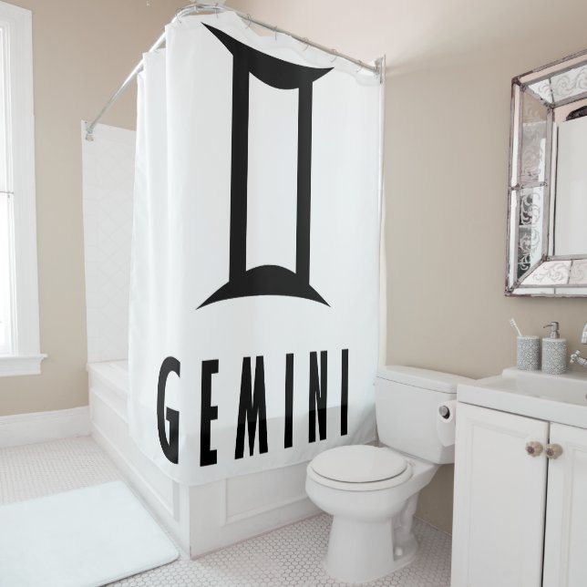 Gemini zodiac sign (In Situ)