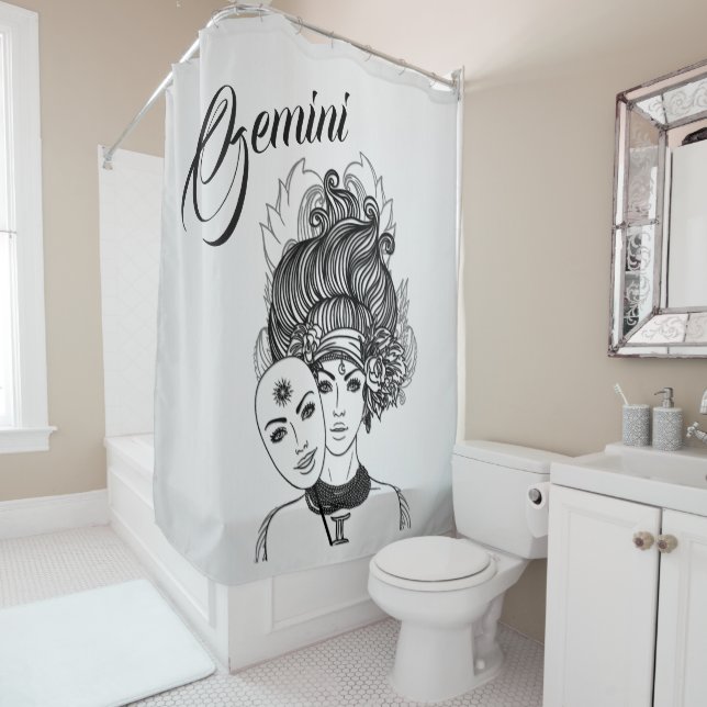 Gemini Zodiac Symbol and Sign Silver  (In Situ)