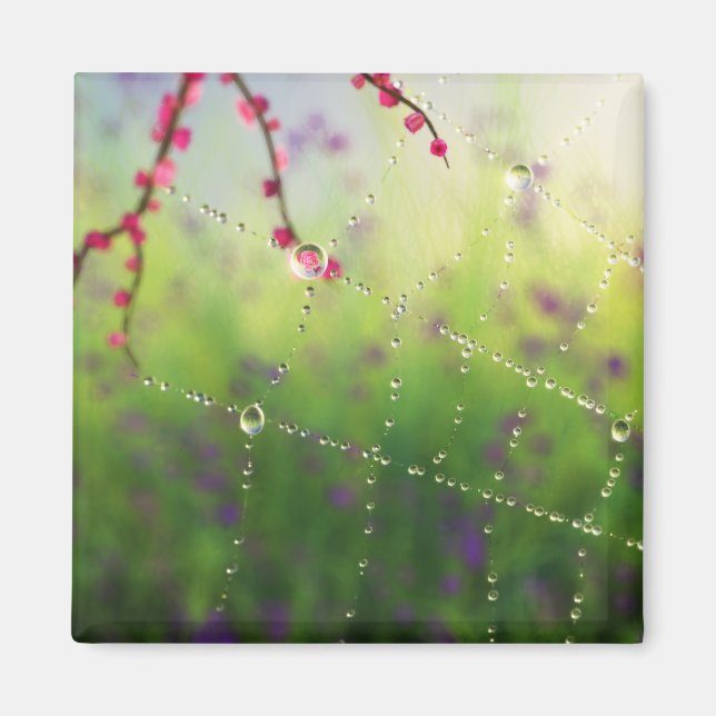 Gemmes d'un aimant du matin du printemps (Devant)