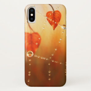 Gemmes d'un Coque de Galaxie du matin d'automne