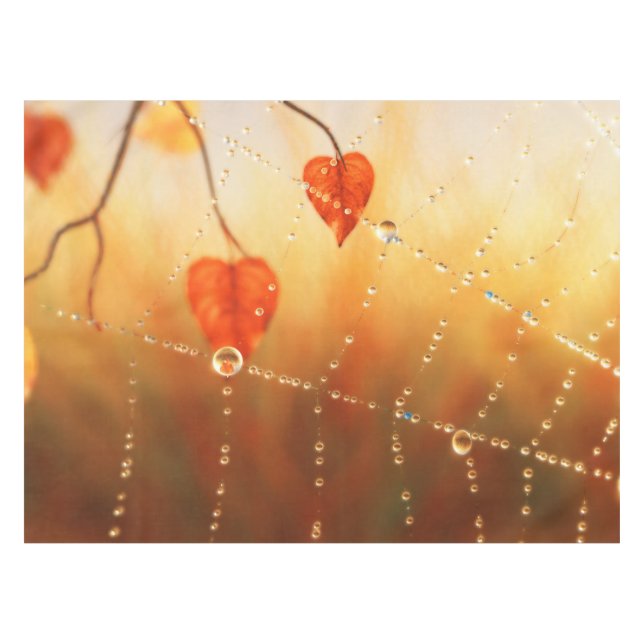 Gemmes d'une nappe d'automne du matin (Devant (Horizontal))