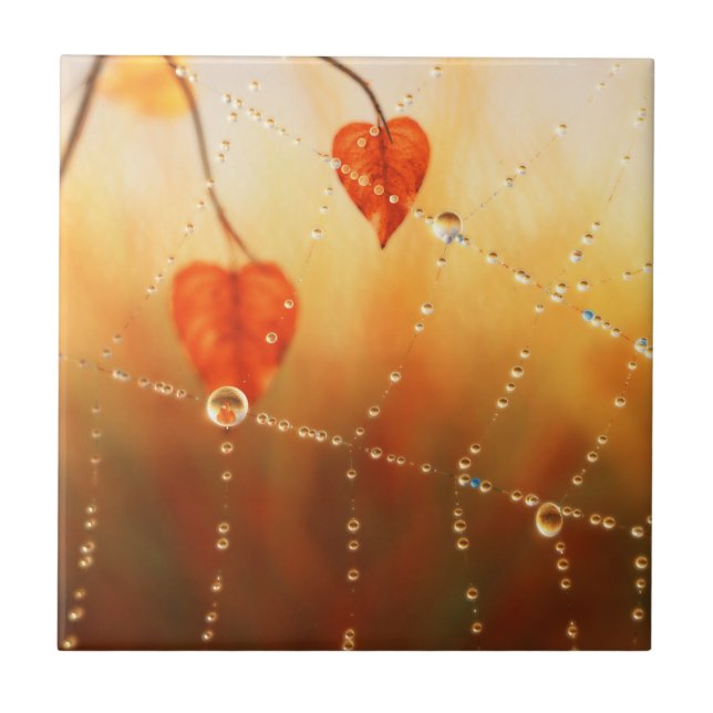 Gems of an Autumn Morning Decorative Tile / Trivet (Front)