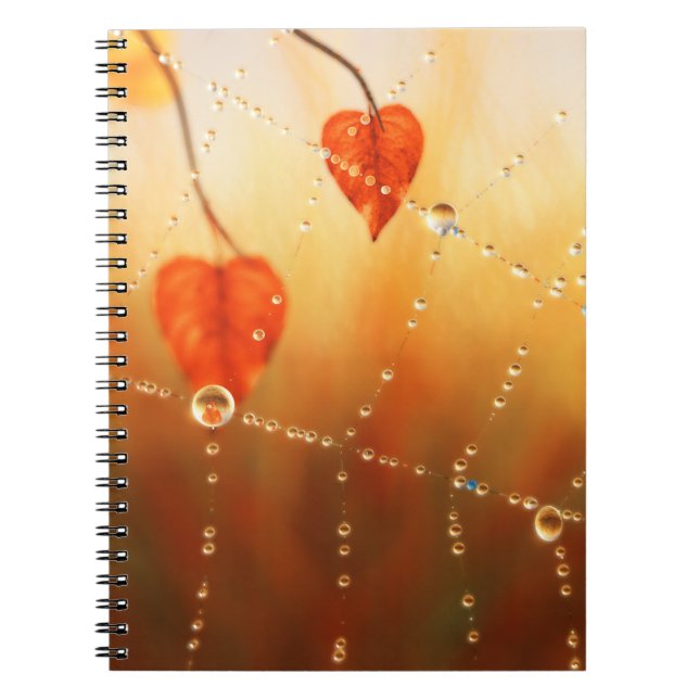 Gems of an Autumn Morning Notebook (Front)