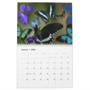 Gems of the Air Calendar