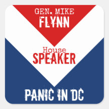 Gen Mike Flynn Speaker of the House Panic in DC