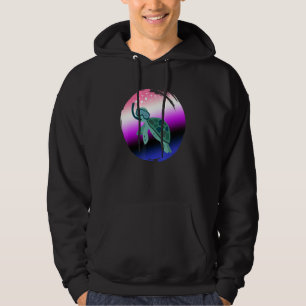 Gender Fluid Flag Turtle Sunglasses LGBT Genderflu Hoodie
