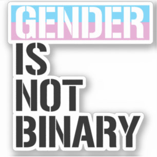 Gender is not Binary