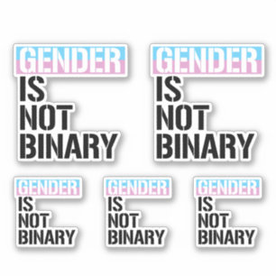 Gender is not Binary