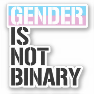 Gender is not Binary