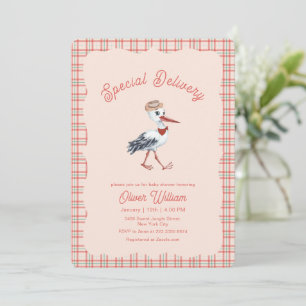 Gender Neutral Vintage Gingham Stork Baby Shower   Invitation