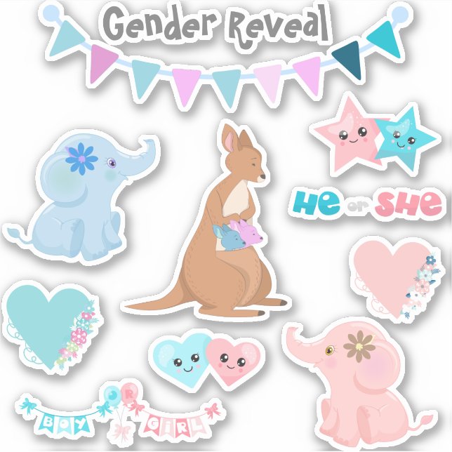 Gender Reveal Baby Pink Blue Set (Front)