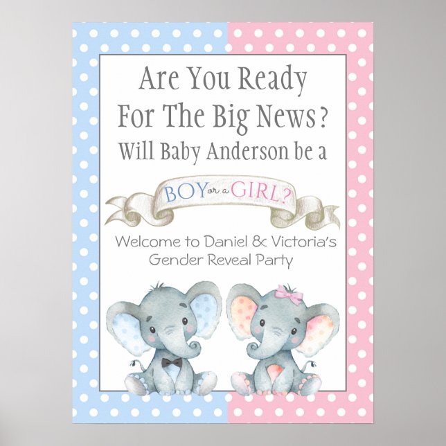 Gender Reveal Baby Shower Signs (Front)