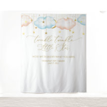 Gender Reveal Backdrop, Moon and Stars