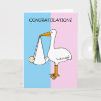 Gender Reveal Congratulations Cartoon Stork