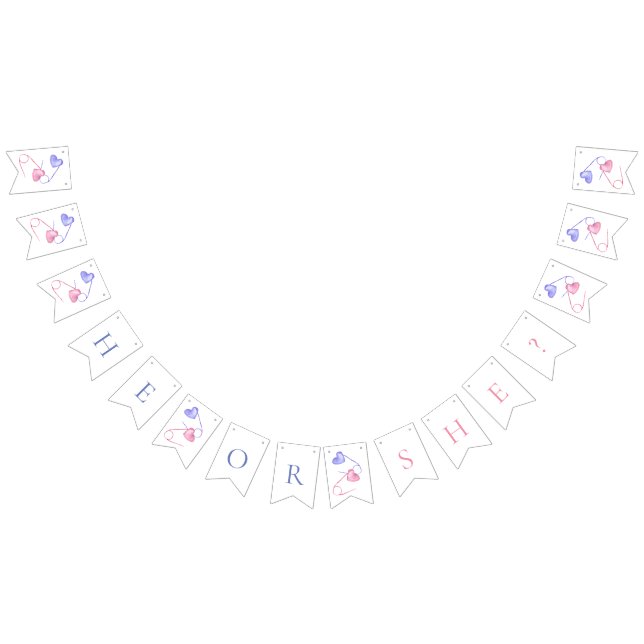 Gender Reveal He or She Pink Blue Baby Shower  Bunting Flags (All)