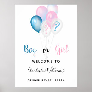 Gender reveal party boy girl blue pink welcome poster