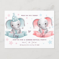 gender reveal party cute elephant,he or she