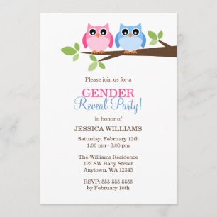 Gender Reveal Pink Blue Owls Branch Invitations