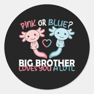 gender reveal pink or blue brother loves you lotl classic round sticker