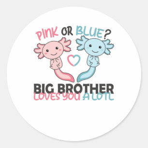 gender reveal pink or blue brother loves you lotl classic round sticker
