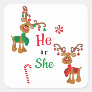 Gender Reveal Reindeer Christmas Holiday Square Sticker
